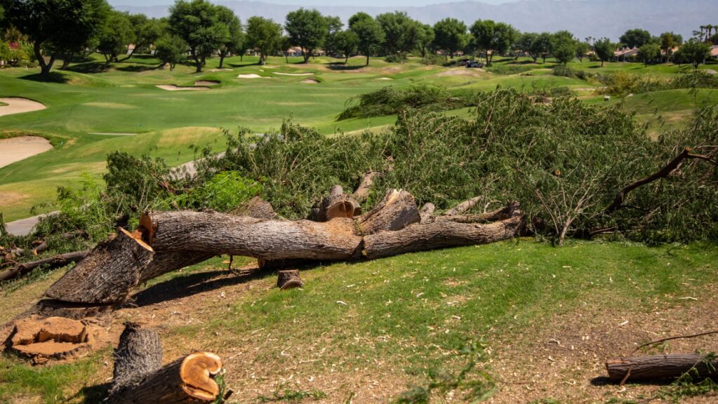 PGA West Stadium Course restoration features fewer trees, large greens