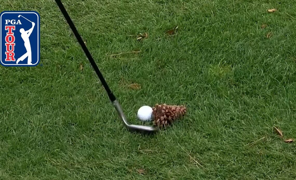 Billy Horschel’s recovery shot from pine cone at RBC Heritage