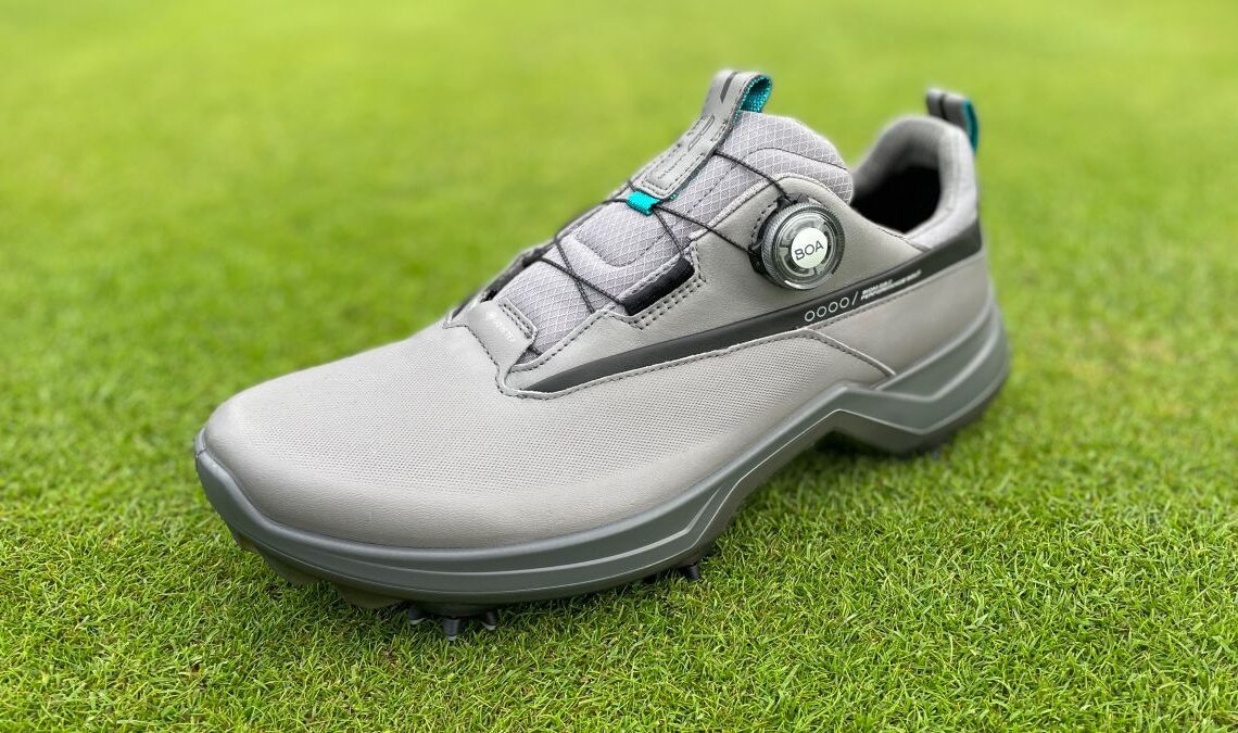 Ecco Biom G5 Shoe Review