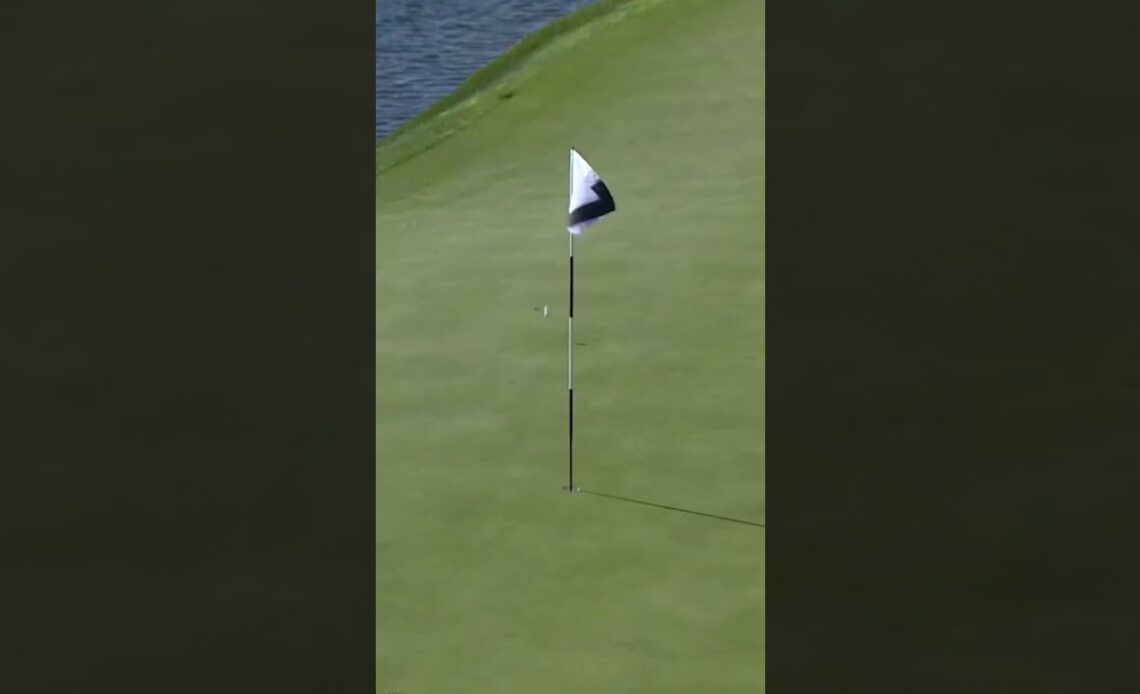 How did this not go in?! 😥 #shorts #LIVGolf