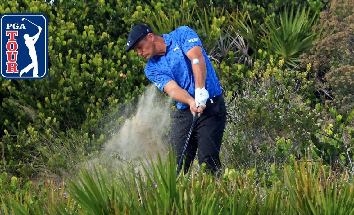 Incredible recovery shots from the bushes at Hero World Challenge | 2021