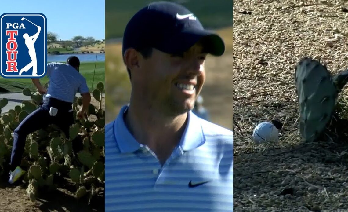 Rory McIlroy survives cactus drives with pars at Waste Management