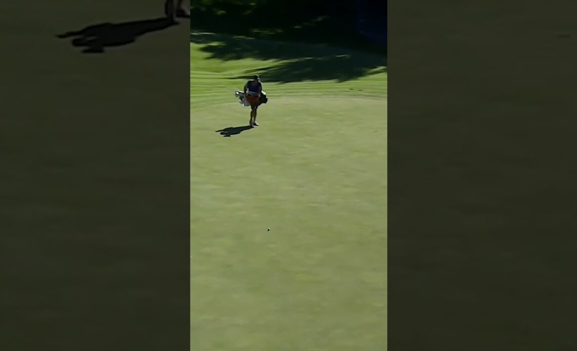 Sergio from deep! #shorts #LIVGolf #golf