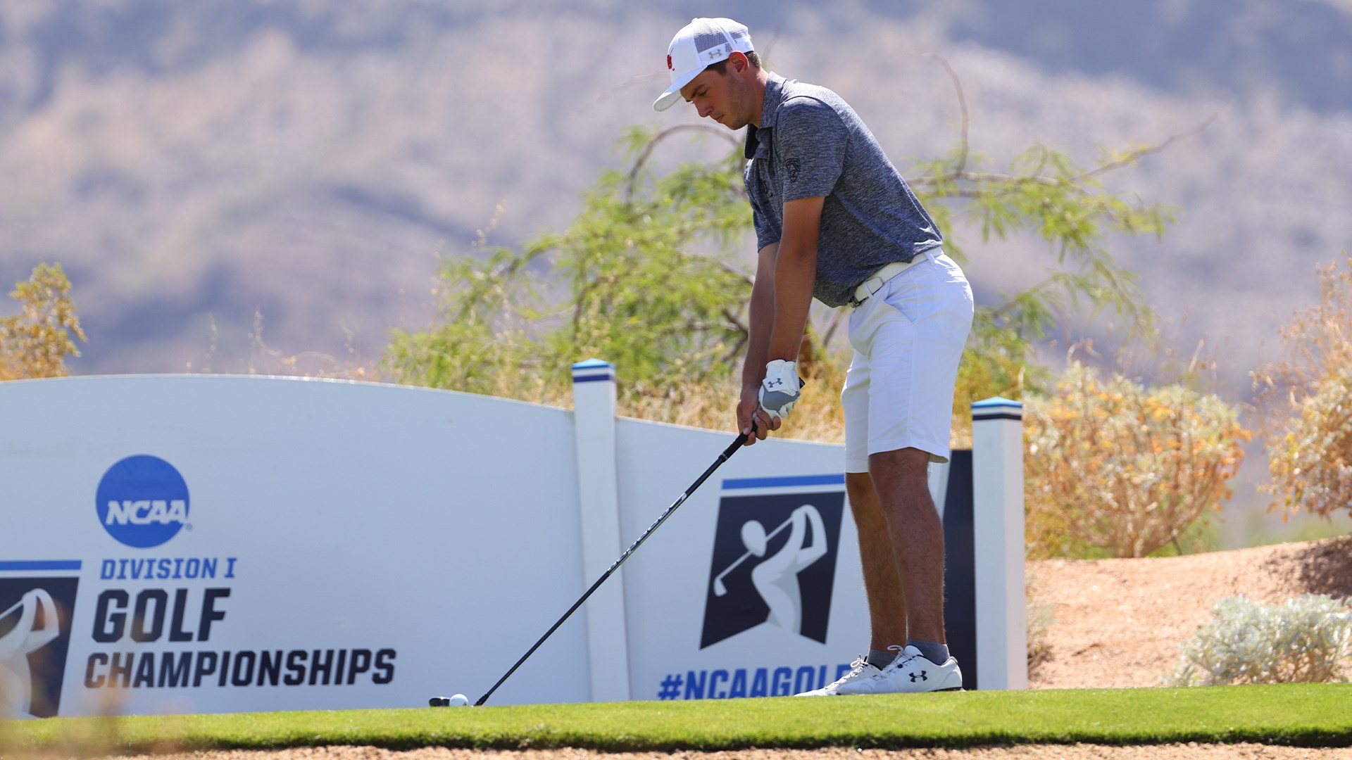 Johnson, Barcos Both in the Top 10 at Hamptons Intercollegiate VCP Golf