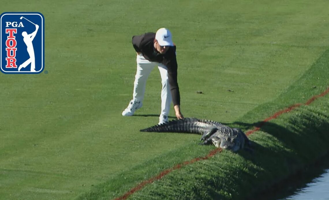 PGA TOUR’s best animal encounters of the decade: 2010-19