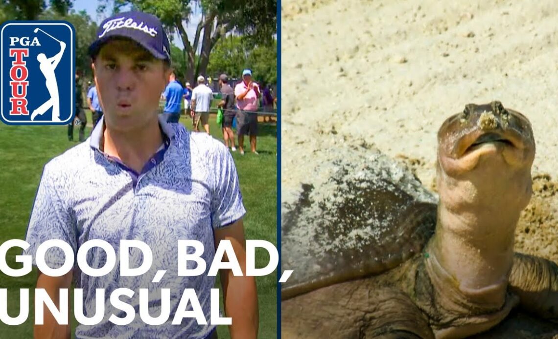 A puzzled turtle, JT gets robbed, record hole-outs & Hovland hits lefty