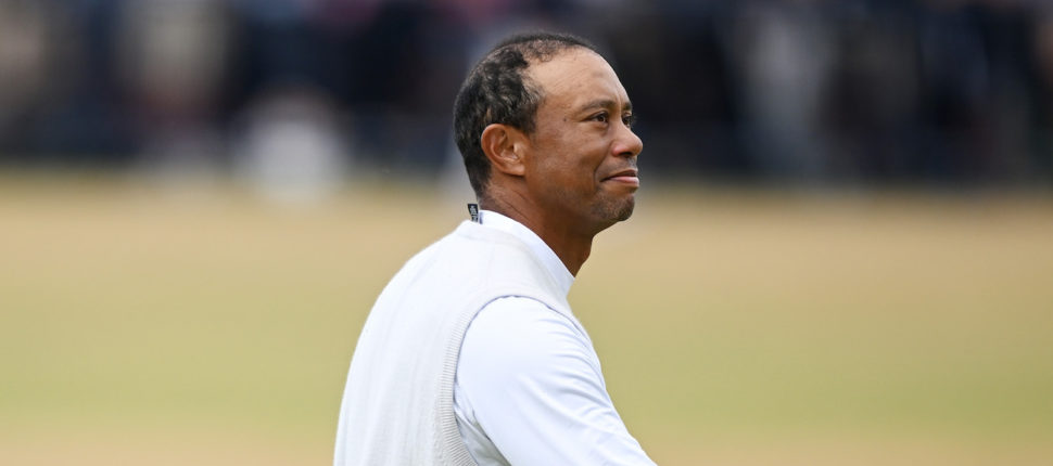 Rory McIlroy: Tiger Woods “has won PIP”