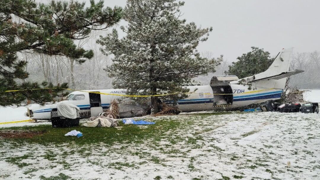 Three Adults And 53 Dogs Survive Plane Crash On US Golf Course