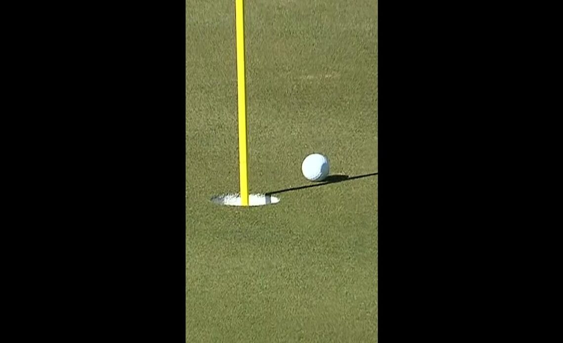 DJ was THIS close to an albatross 😮