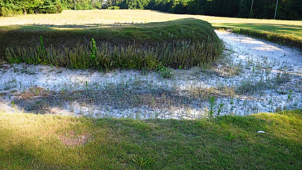 Augusta-area golf course could re-open after 2018 closure