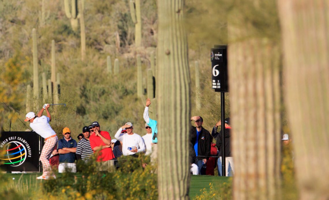 Arizona course under fire for cutting down cactus