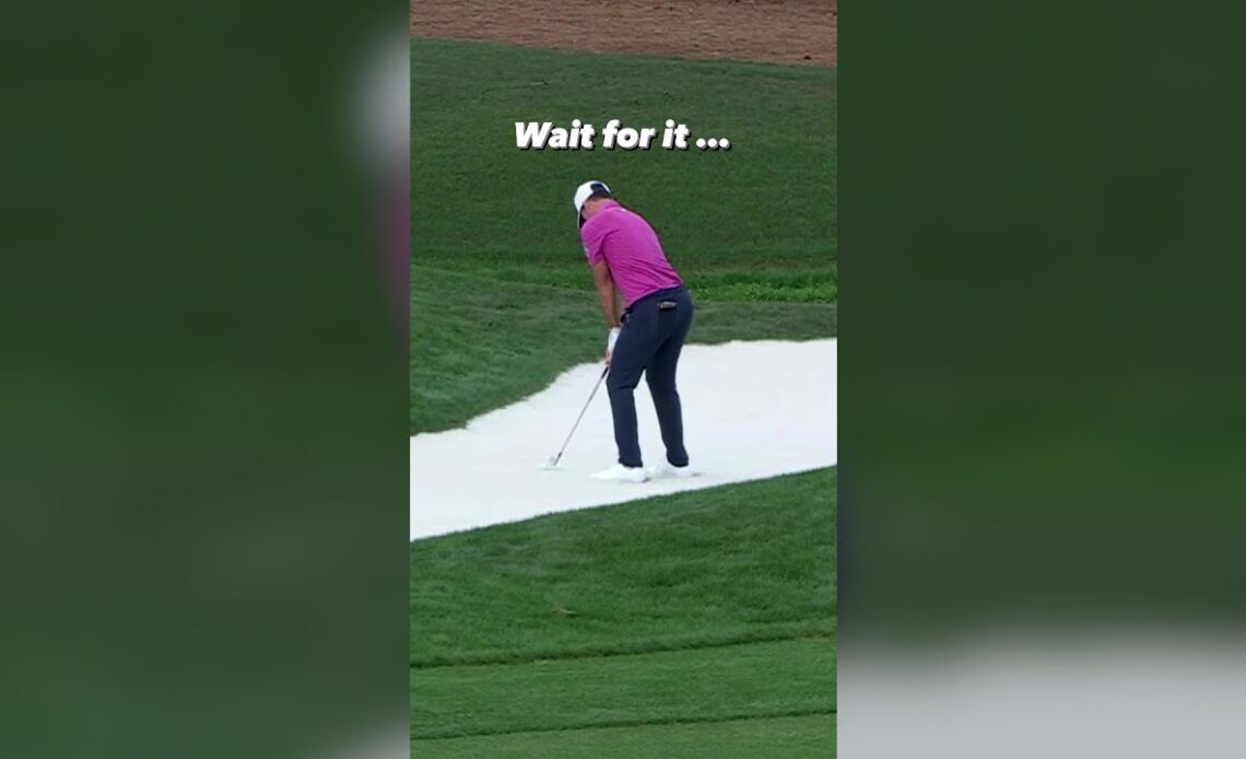 No, not THAT hole! 😂