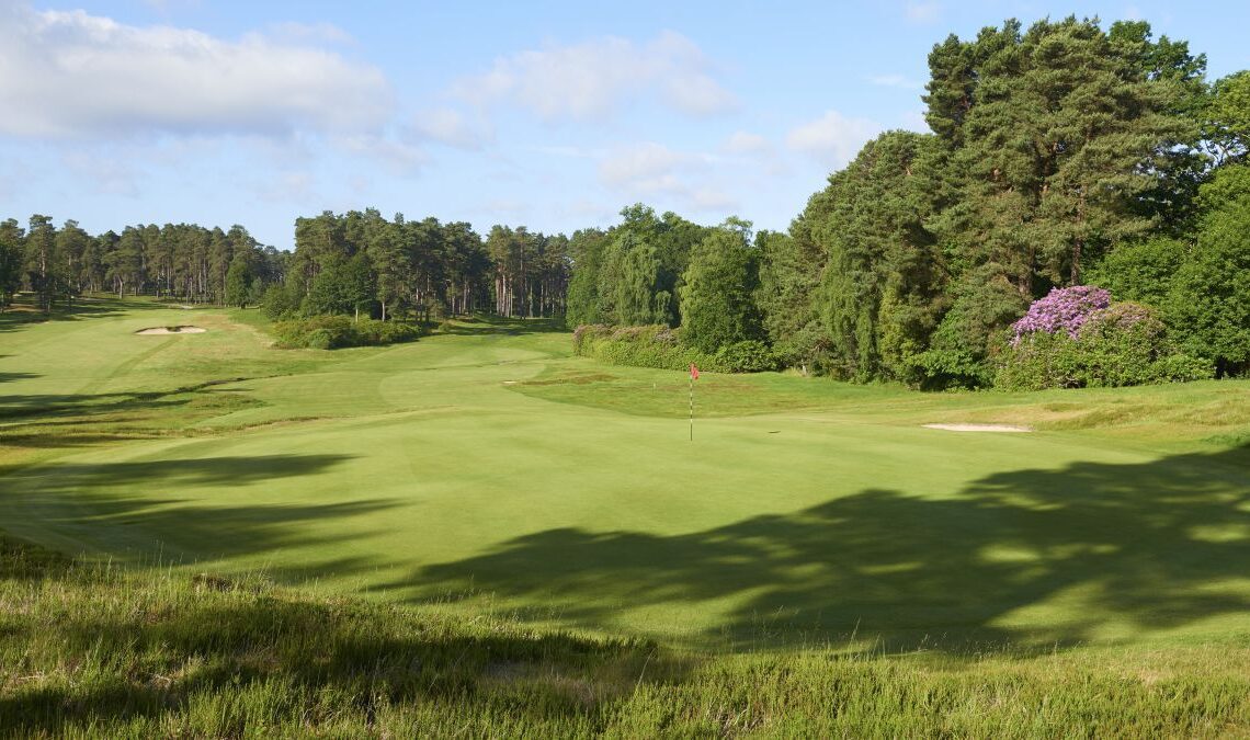 Swinley Forest Golf Club: Course Review, Green Fees, Tee Times and Key Info