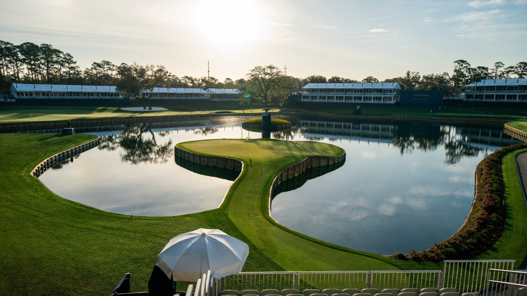 Bailey Chamblee makes a ‘hole-in-three’ on No. 17 TPC Sawgrass