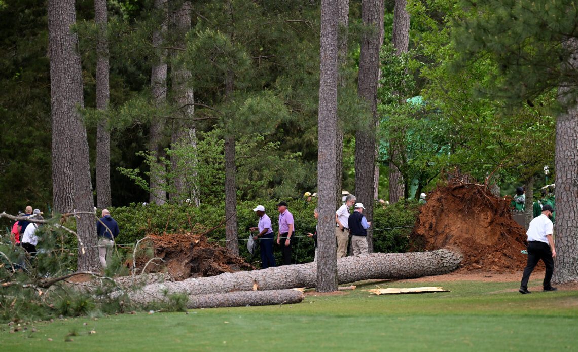 Trees falling at The Masters on Friday
