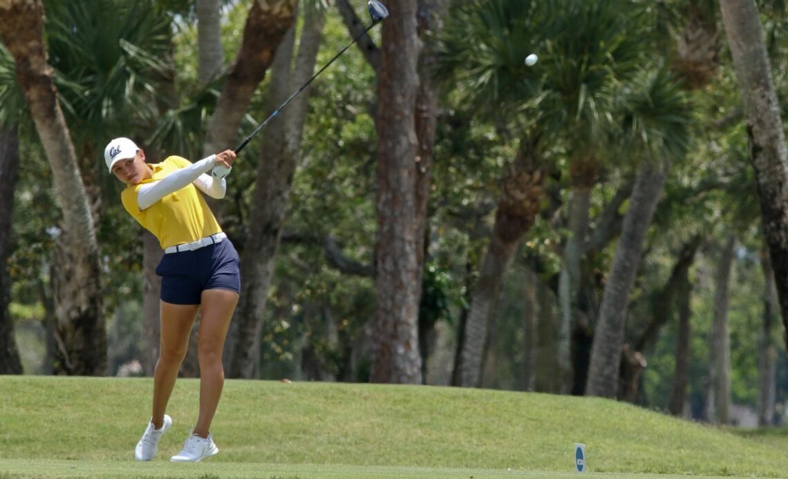Borrelli, Bears Move Up In NCAA Regional Standings