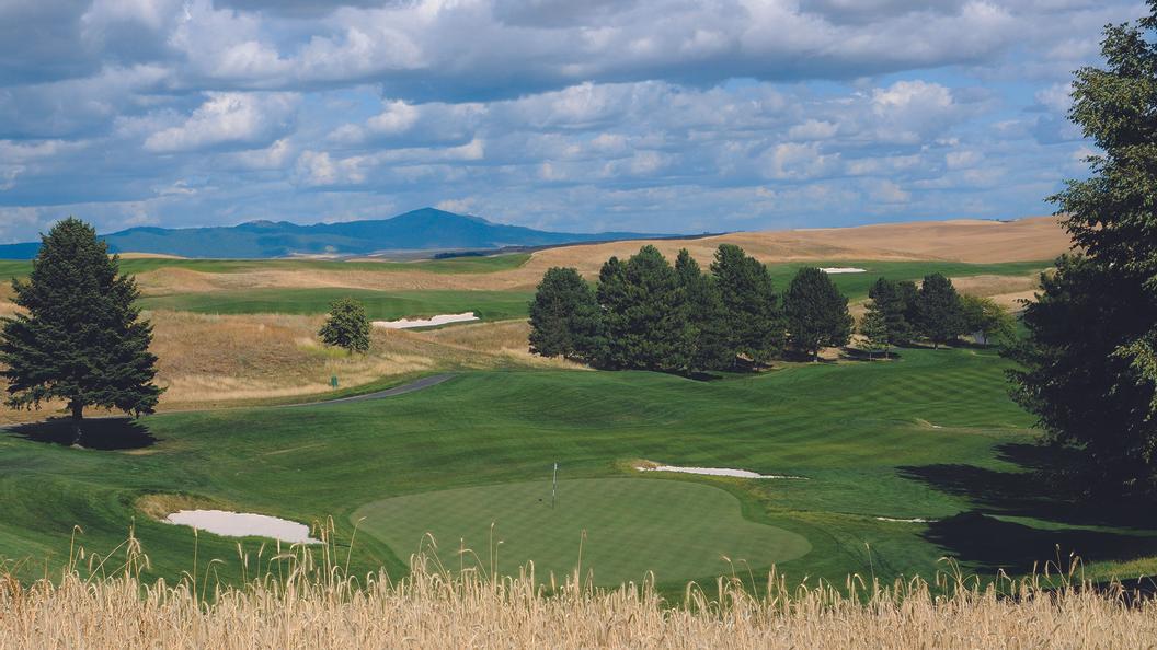 Washington State to host the NCAA Pullman Regional at Palouse Ridge May 8-10