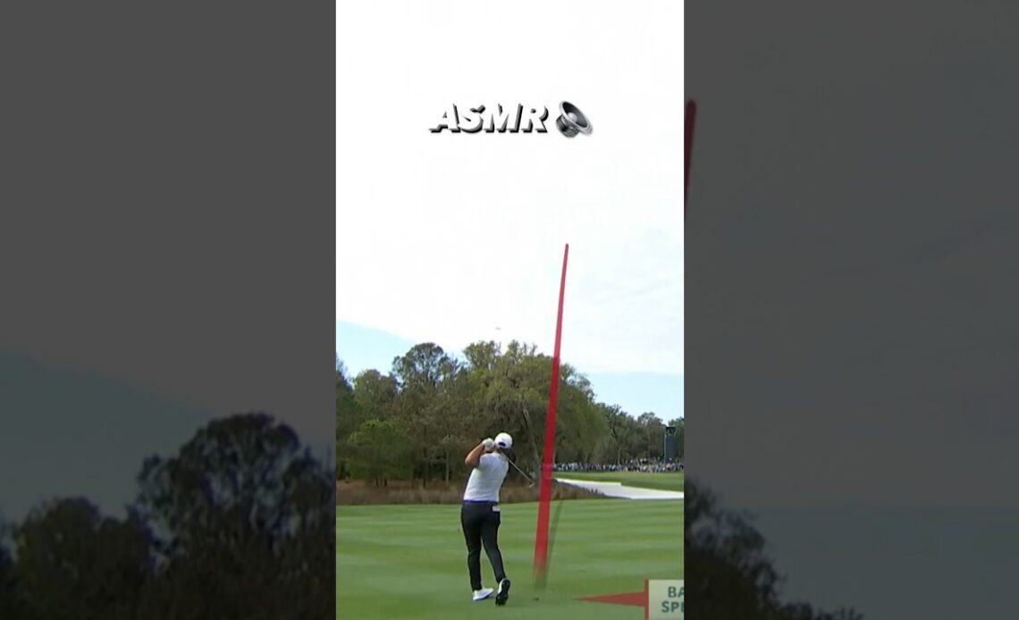 Jon Rahm golf swing ASMR 🤤