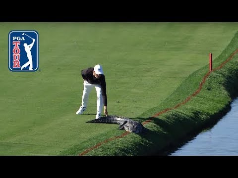 The most ridiculous moments on the PGA TOUR in 2017
