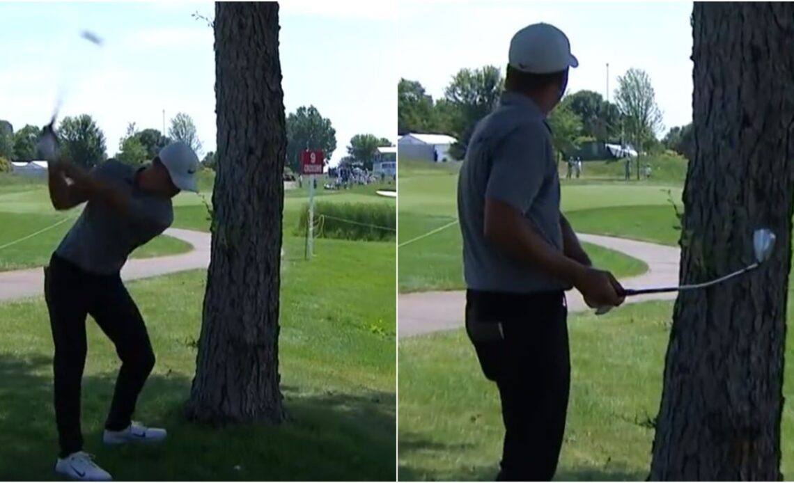 PGA Tour highlights: watch Nick Hardy Bend 9-Iron Around A Tree In Epic Escape