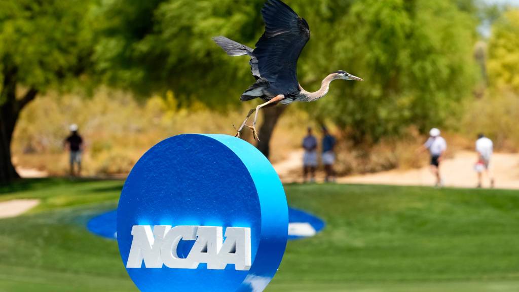 Spikemark Golf to manage NCAA college golf scoring and rankings