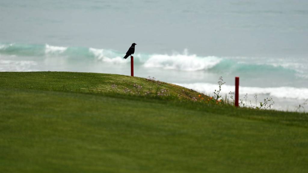 Carmen Alonso odds to win the Trust Golf Women’s Ladies Scottish Open