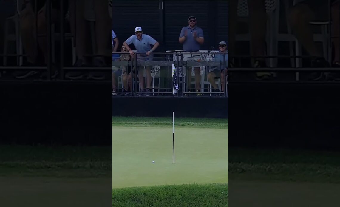 Not bad for Lefty's first shot of the day. 🙌🎯 #LIVGolf #philmickelson #HyFlyers