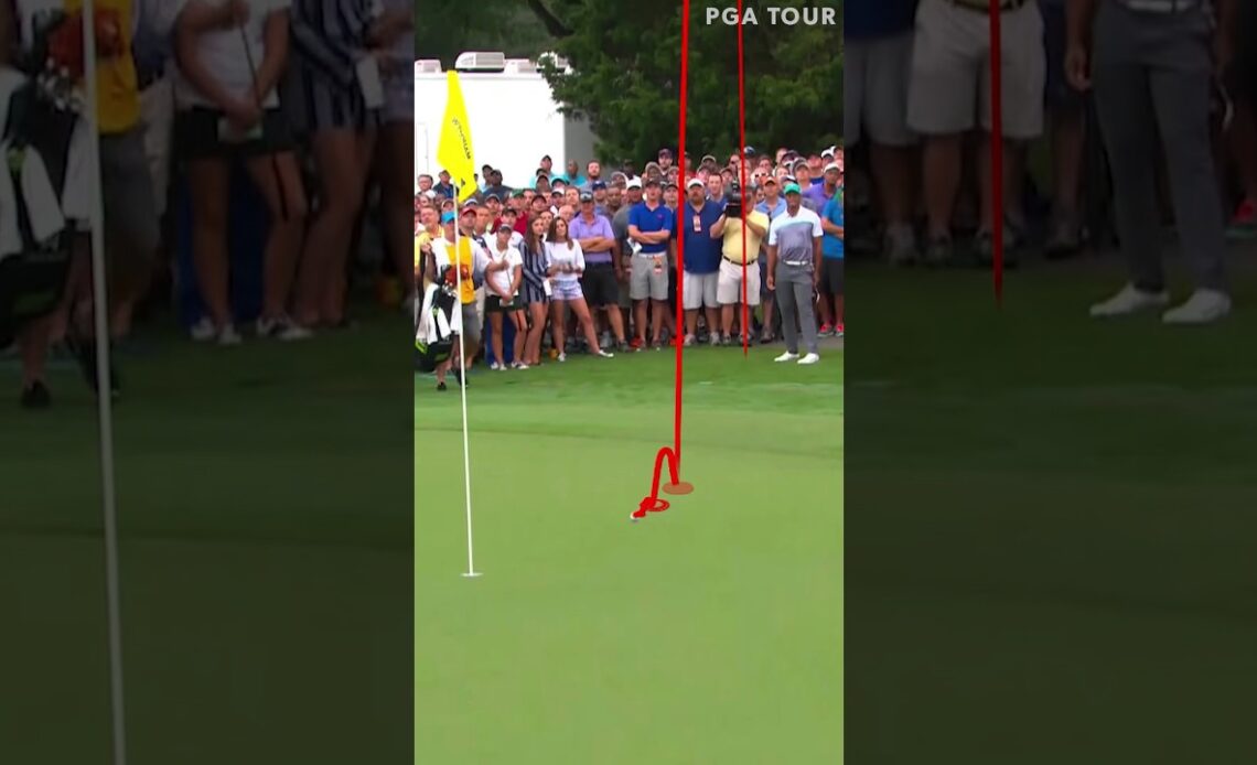 Oh, just Tiger doing Tiger things 🐅