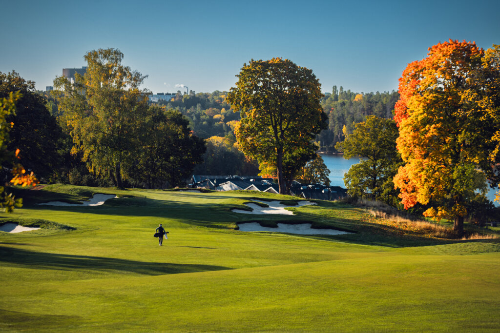 Renovation of the Year 2023: Public Courses