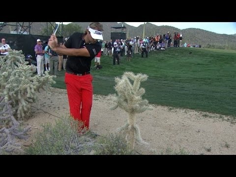 Victor Dubuisson converts unbelievable shot from cactus at Accenture