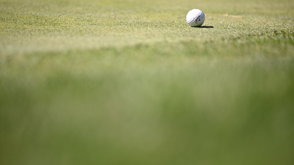 Golf course superintendent fired for trying to have his brother killed