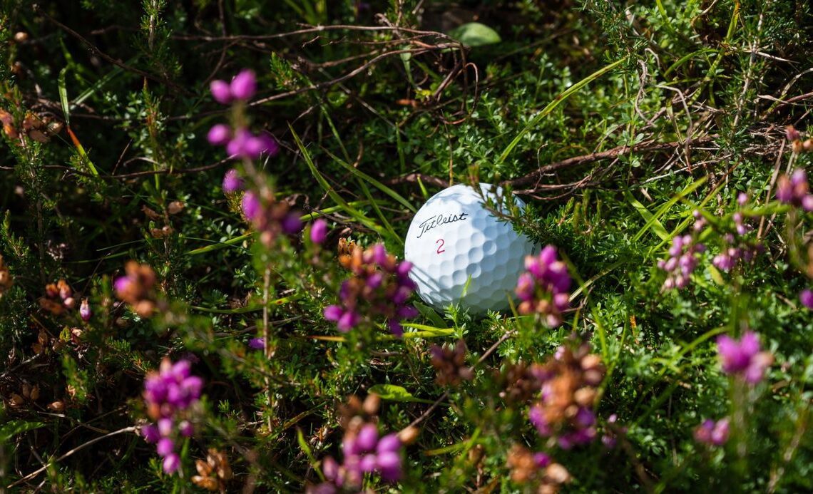 How Often Should You Change Your Golf Ball? - Golf Monthly