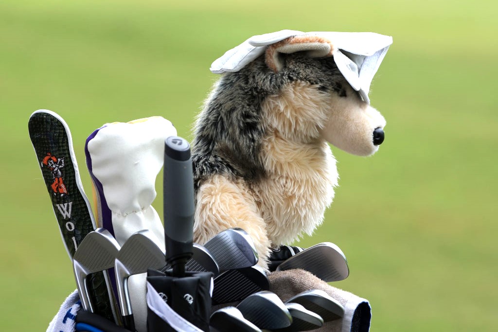 What Is The Wolf Golf Game?