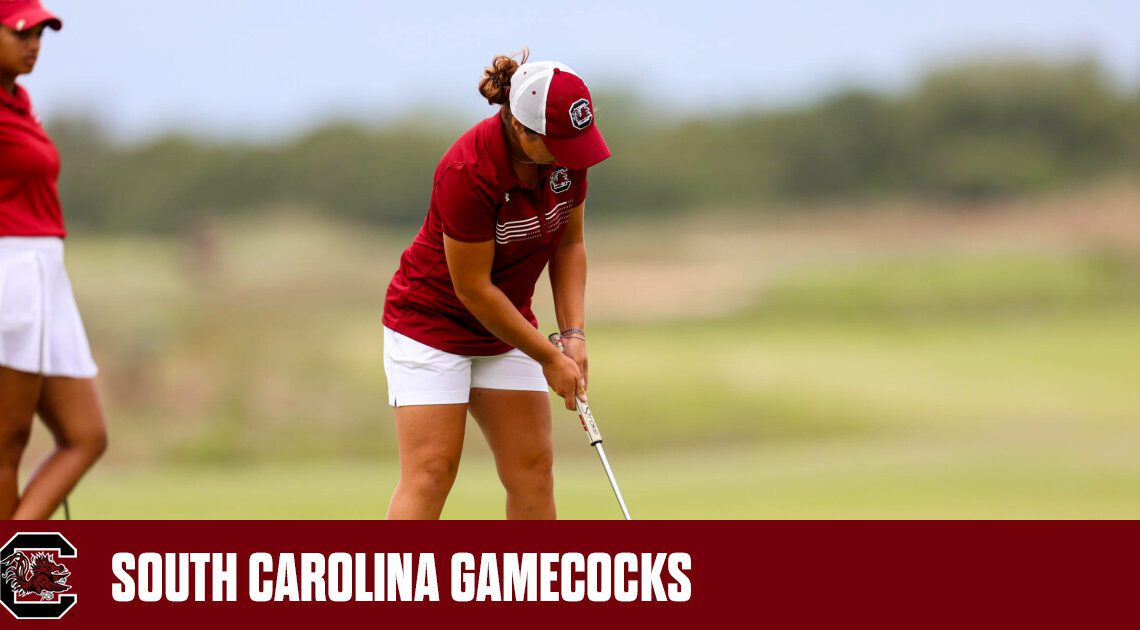 No. 6 Gamecocks Fall to No. 2 Stanford in Third-Place Match at Stephens Cup – University of South Carolina Athletics