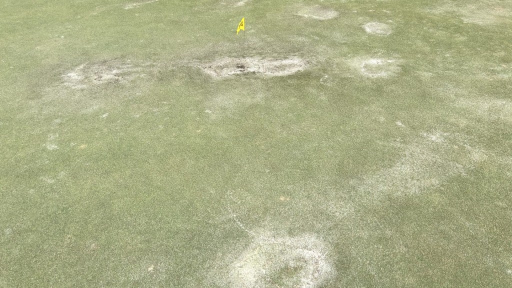 Vandals damage greens before start of PGA Tour Champions event