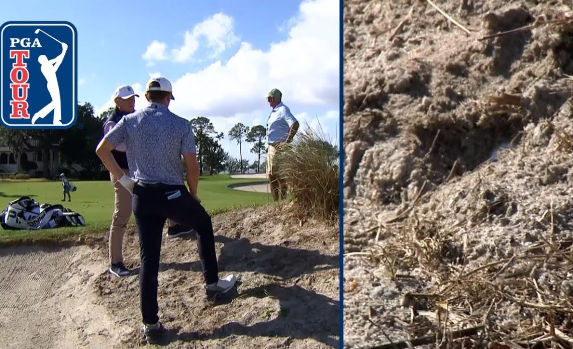 Mackenzie Hughes' INCREDIBLE par save after unplayable lie at The RSM Classic