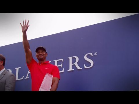 Tiger Woods' impressive 2013 season