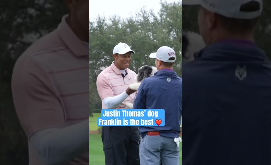 Tiger Woods’ loves a good pup 🐶