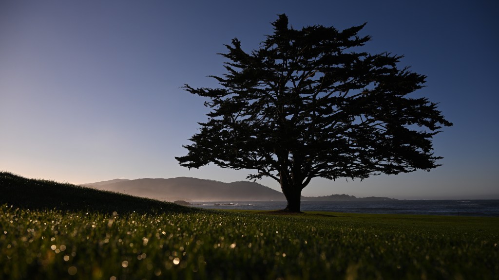 2024 AT&T Pebble Beach Pro-Am field features 18 of world’s top 20
