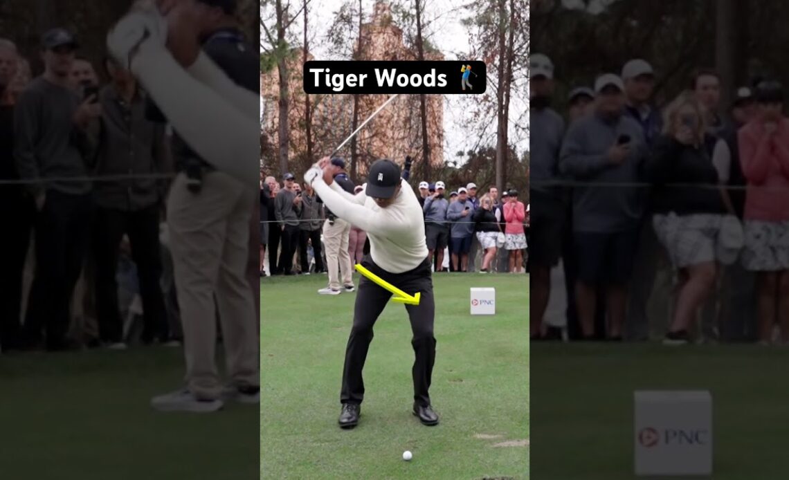 Describe Tiger’s swing in ONE word.