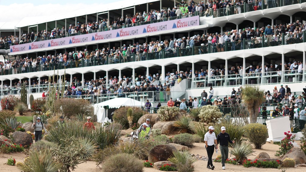 Fan suffers injuries after fall at WM Phoenix Open’s 16th hole