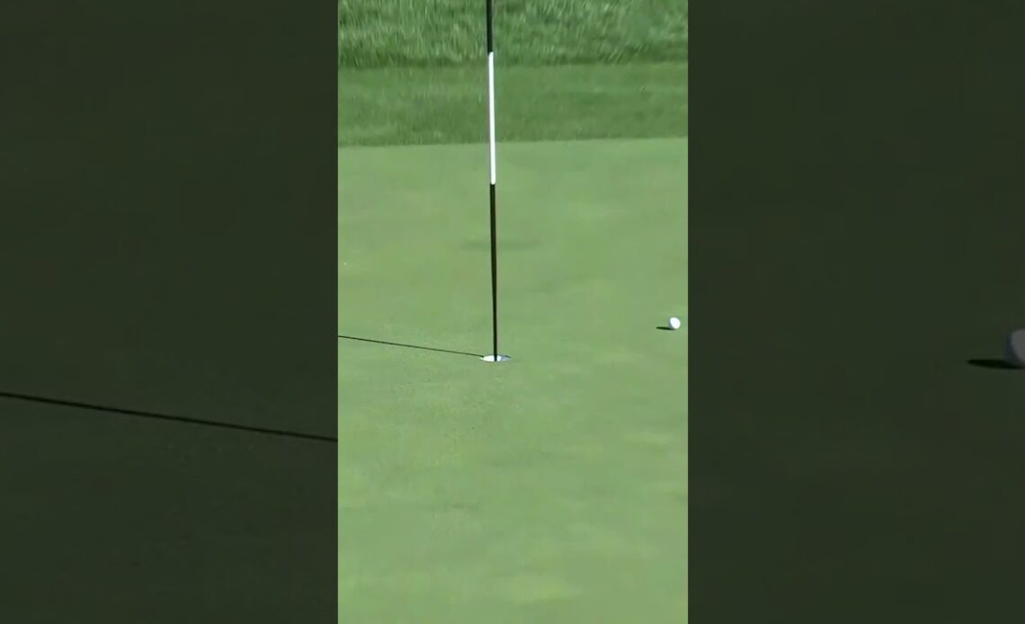 Get in! Brooks Koepka with an incredible save. 👏 #livgolf #shorts