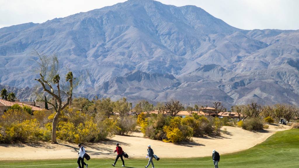 Top teams, individual players highlight Prestige college golf event