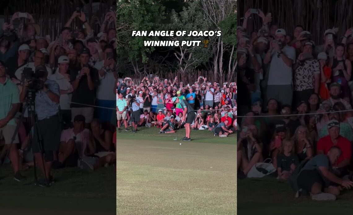 What the fans saw when Joaquin Niemann drained the winning putt at Mayakoba! #livgolf #shorts