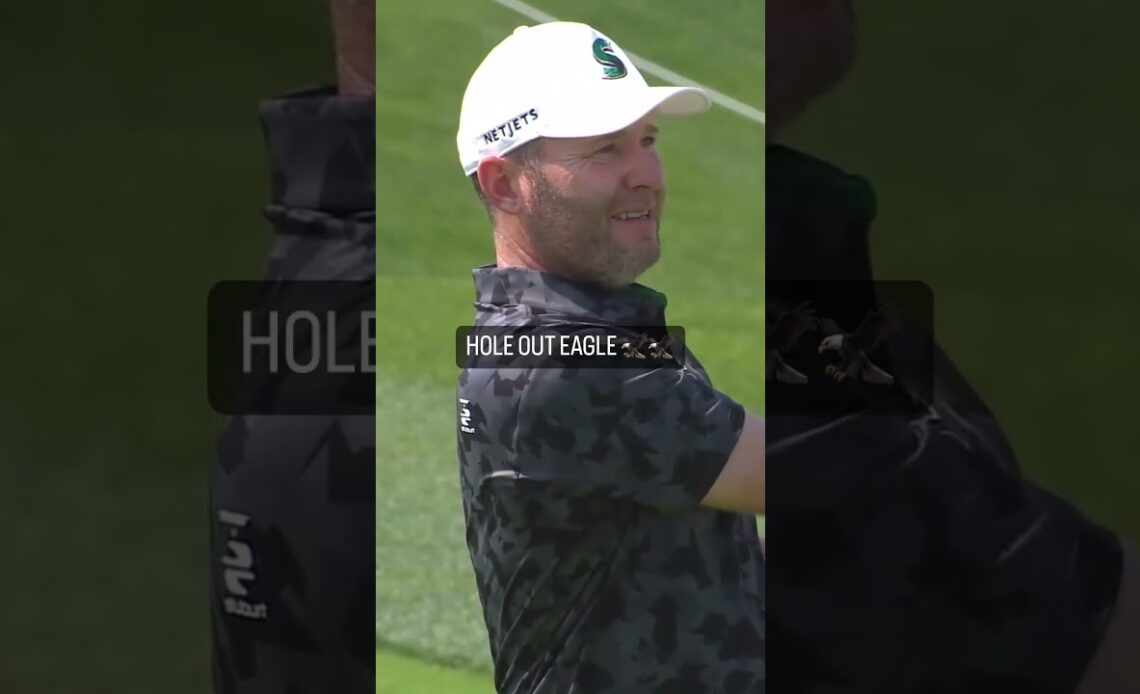 Get in! It's a hole-out eagle for Branden Grace! 🦅 #livgolf #shorts