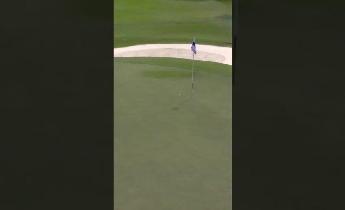 Holed it for eagle! 🦅 Thomas Pieters with an incredible shot! #livgolf #shorts