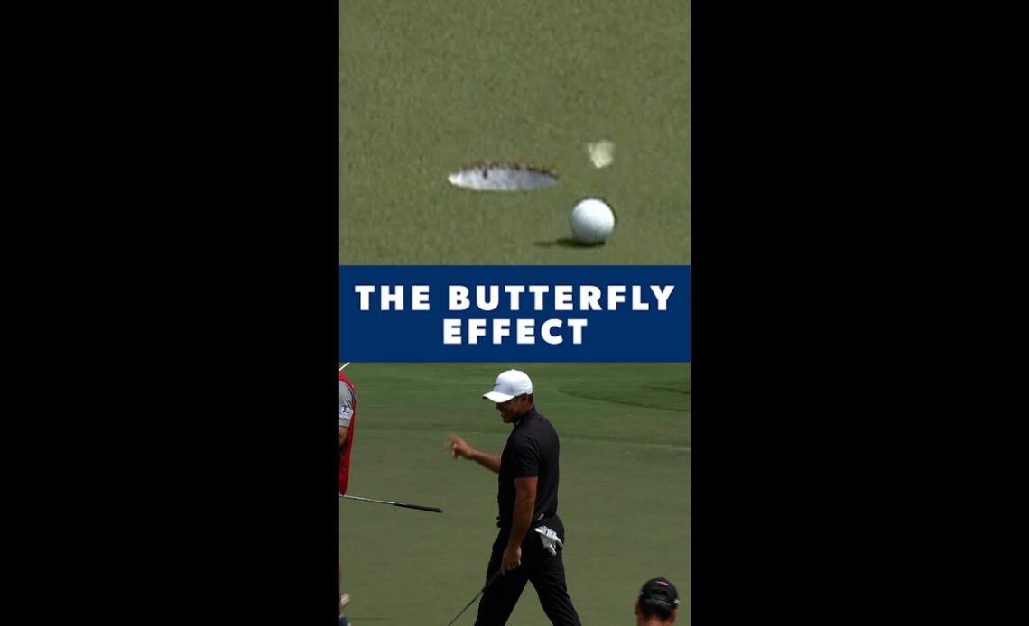 Koepka: The Butterfly Effect 🦋