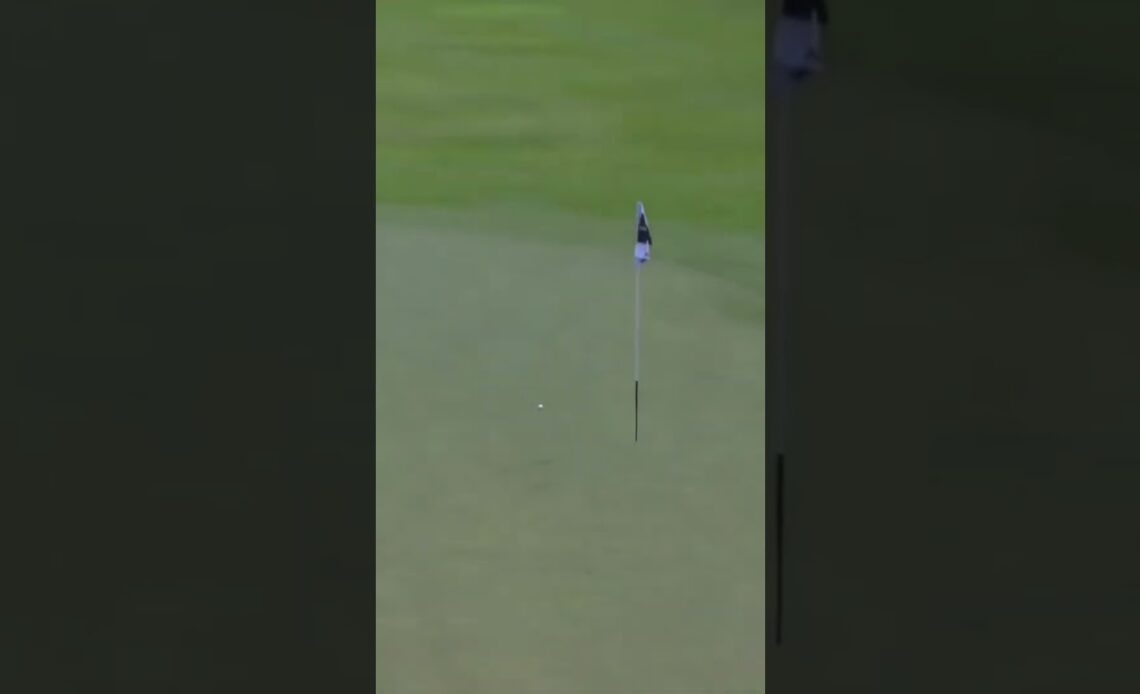 Stenson is an absolute ball-striking machine! 💪 #livgolf #shorts
