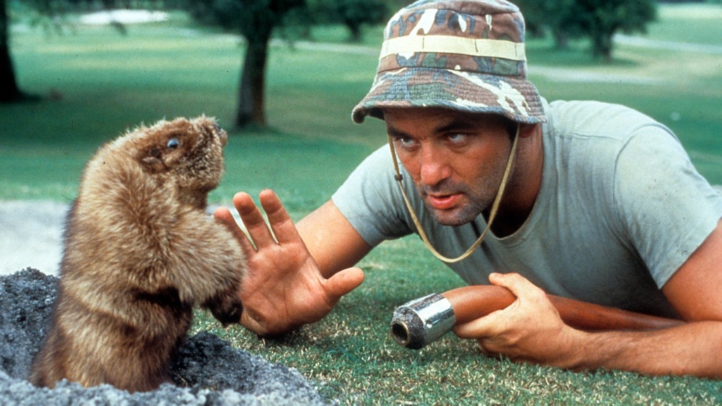 The best golf movies never won any Oscars but 'Caddyshack' stands test of time