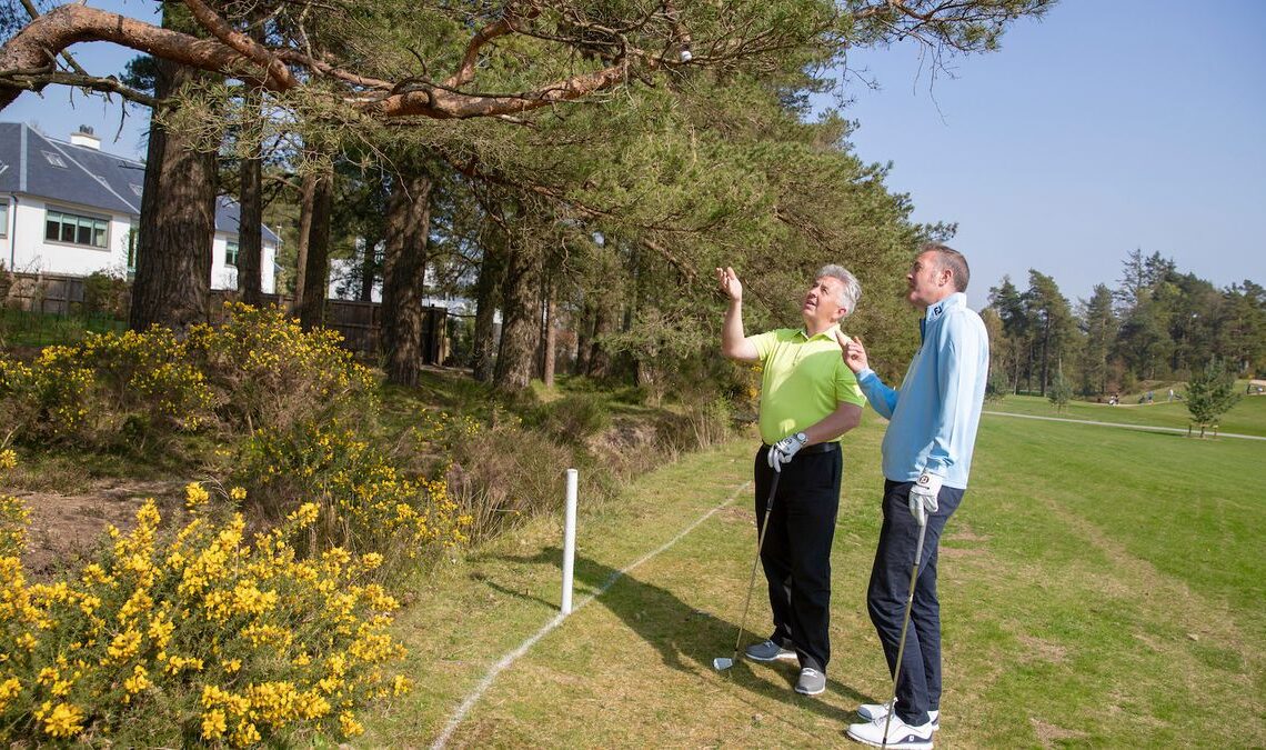 What Should You Do If Your Ball Gets Stuck Up A Tree? Here's What The Rules Of Golf Say...